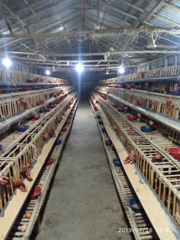 শীতকালীন ব্যবস্থাপনা