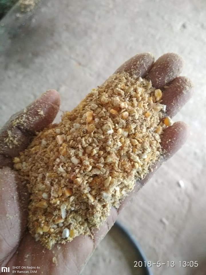 পোল্ট্রি ফিড কোম্পানী