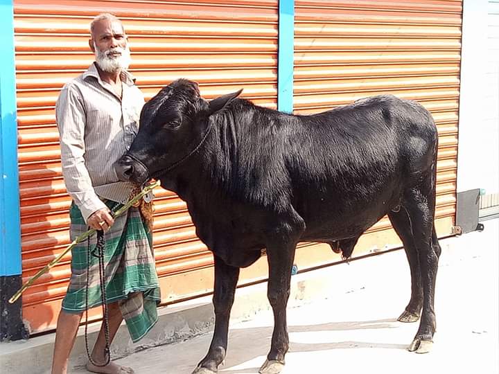 যুব উন্নয়ন অধিদপ্তরের ঠিকানা,মোবাইল নাম্বার