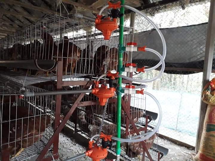 পানির নিপল লাইন