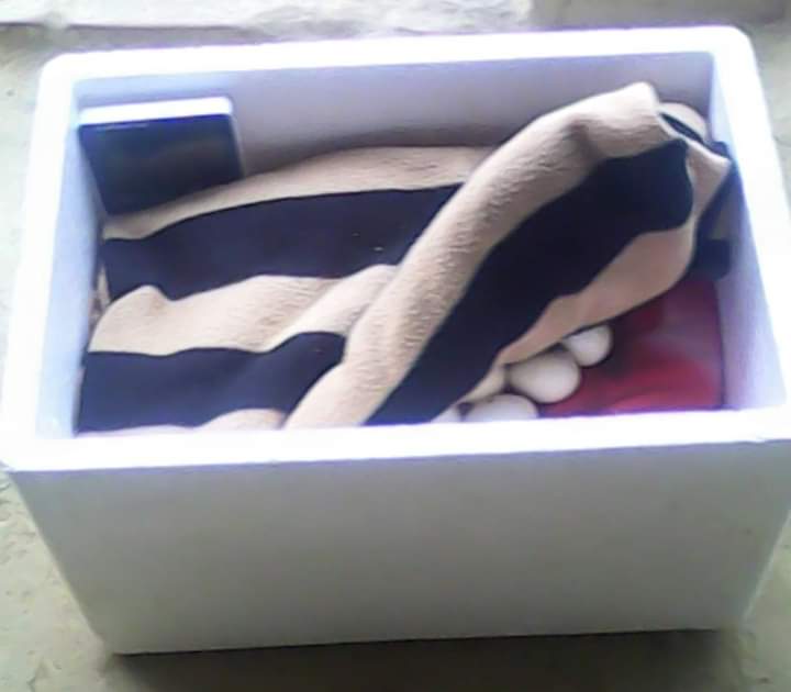 দীর্ঘ সময় বিদ্যুৎ না থাকলে কি করণীয়