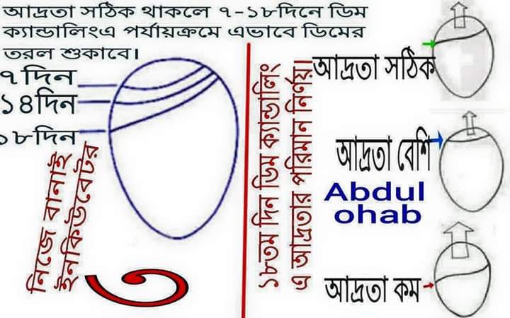 আর্দ্রতা শোষণের উপায়