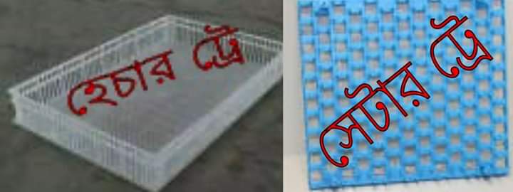 সেটার ও হেচার