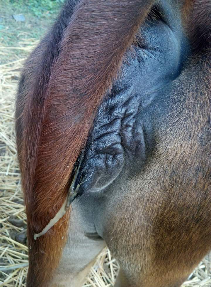 হিট ডিটেকশন কাহিনী