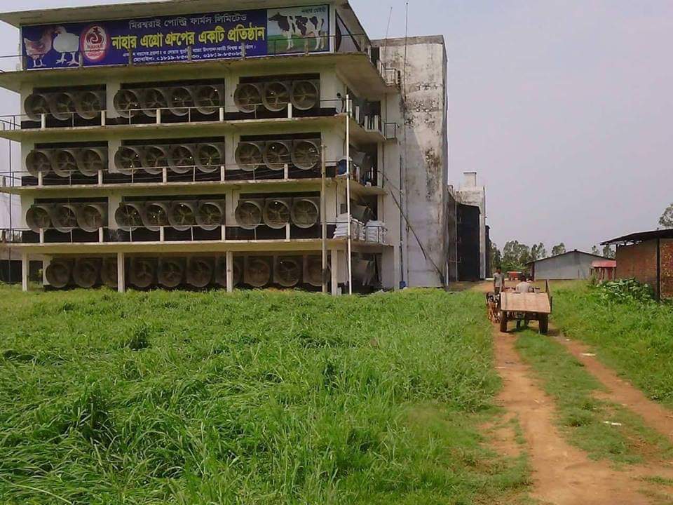 পোল্ট্রি শিল্প