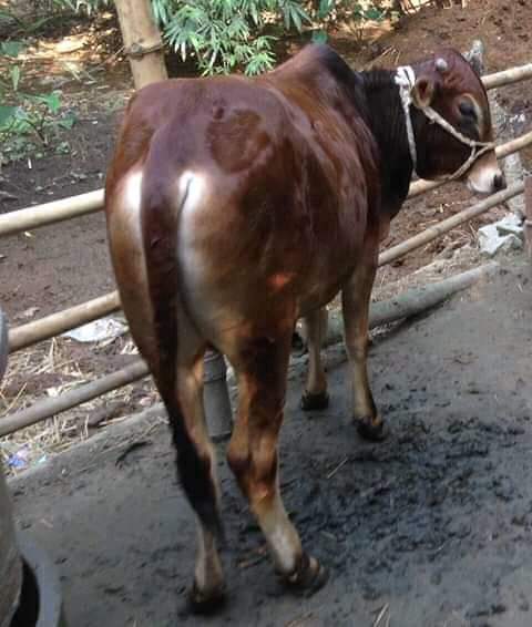 পানি ব্যবস্থাপনা