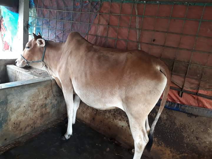 হিটে না আসার কারণ