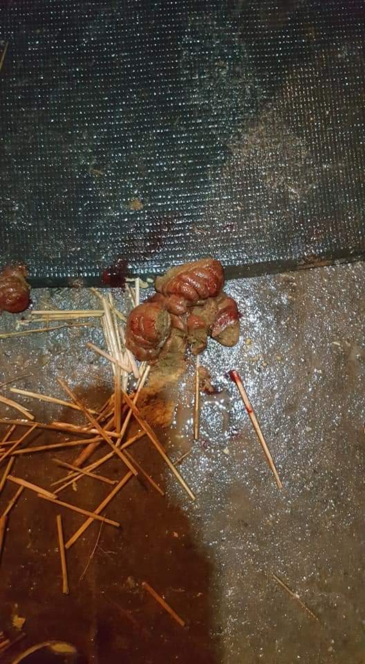 গোবর পর্যালোচনা