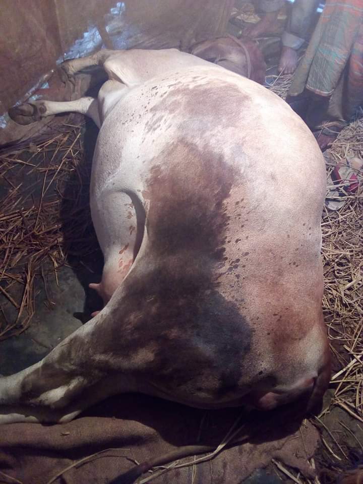 পেঠ ফাঁপা