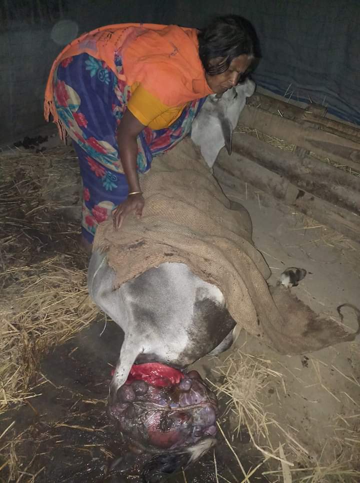 জরায়ু বের হবার কারণ