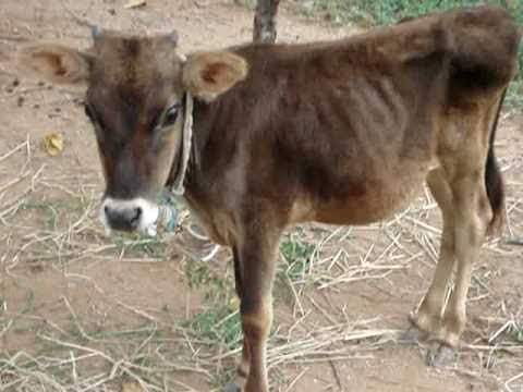 অরুচি (এনোরেক্সিয়া) কারণ)