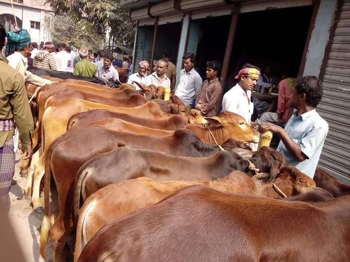 গরুর হাট বাজার