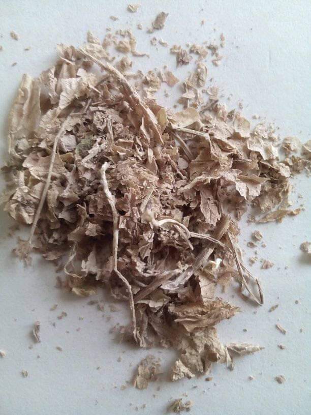 সরিষার শুকনা পাতা ও কান্ড