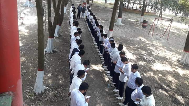 ডি ভি এম শিক্ষার গুরুত্ব