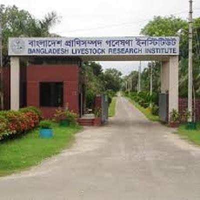 বি এল আর আই