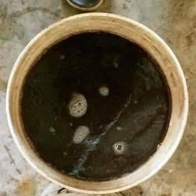 চিটাগুড়