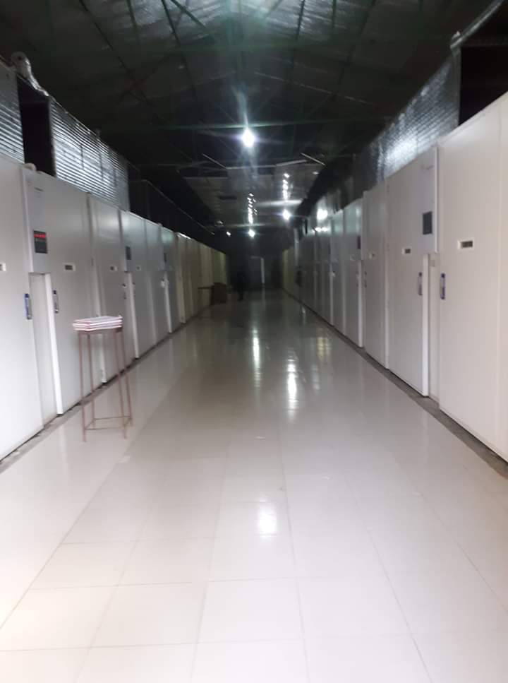 হ্যাচারী