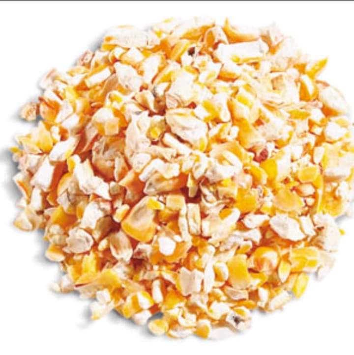 ফার্মেন্টেড কর্ণ