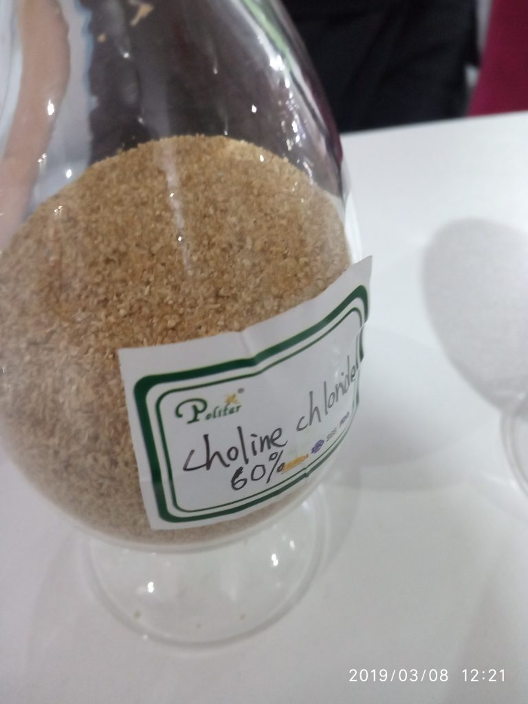 কোলিন ,নায়াসিন,প্যান্টোথেনিক এসিড