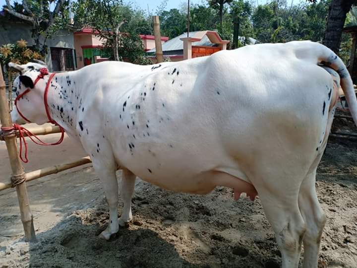 খামার ব্যবস্থাপনা