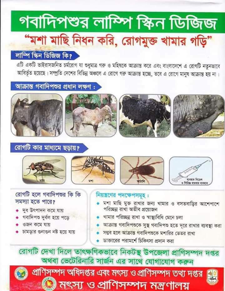 লাম্পি স্কিন ডিজিজ(এল এস পি)