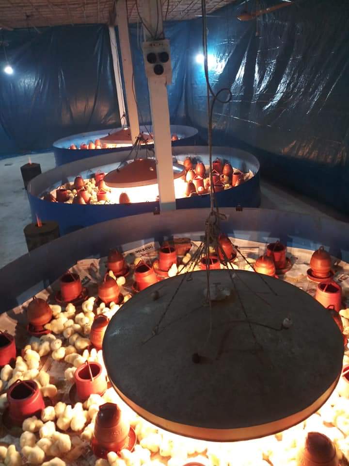 যে এন্টিবায়োটিক প্রবায়োটিকের সাথে দেয়া যায়