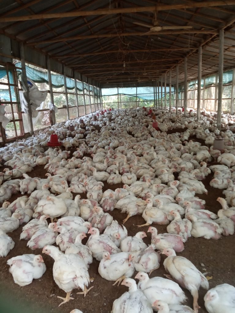 পানিতে,চোখে এবং কিল্ড ভ্যাক্সিন দেয়ার নিয়ম