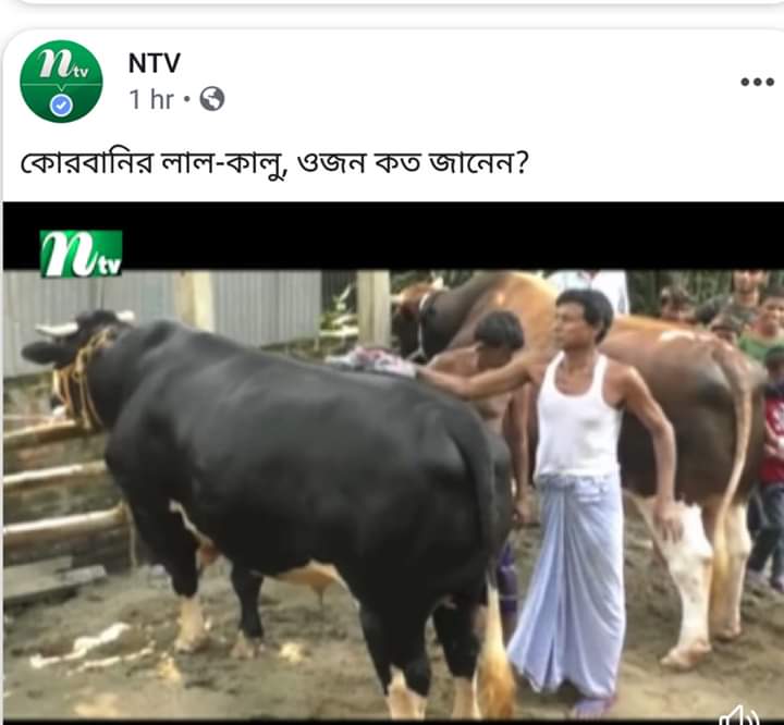 কুকুরের ভ্যাক্সিনেশন