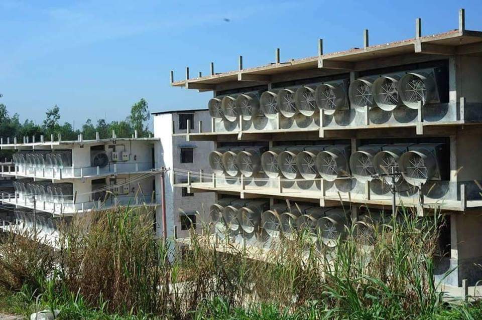 হারিয়ে যাবে ডিলার ও প্রান্তিক খামারী