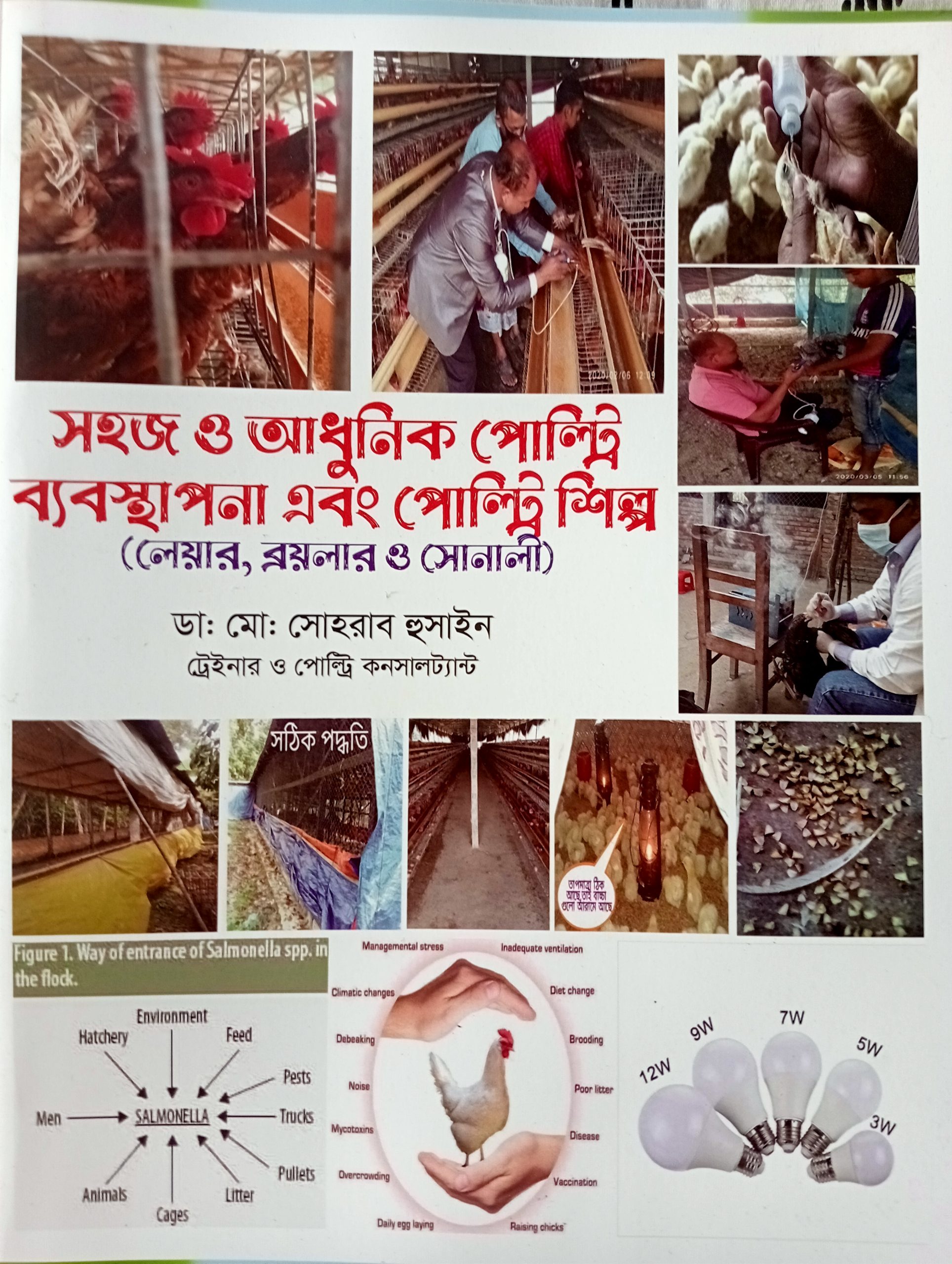 সহজ ও আধুনিক পোল্ট্রি ব্যবস্থাপনা এবং পোল্ট্রি শিল্প