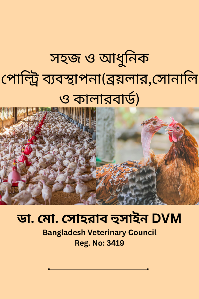 পোল্ট্রি খামারে ব্রয়লার মুরগি